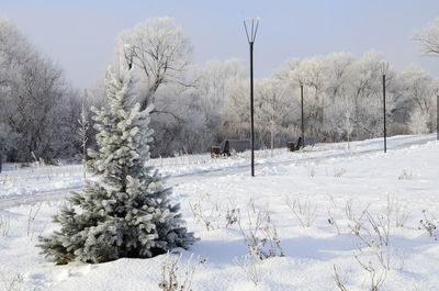 Trees on snow covered field against sky