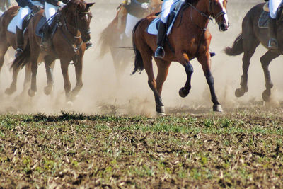 Group of people riding horses