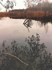 Reflection of trees in lake against sky