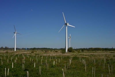 renewable energy