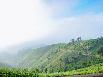 Scenic view of mountains against sky in the morning mist at lumajang indonesia