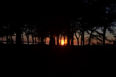 Silhouette of trees at sunset