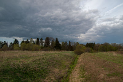 Scenic view of agricultural field against sky