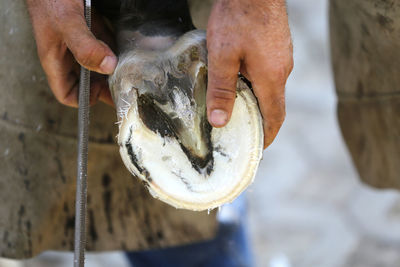 Close-up of man preparing fish