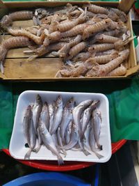 High angle view of fish for sale at market