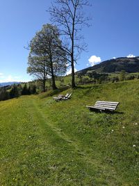 Scenic view of landscape against sky