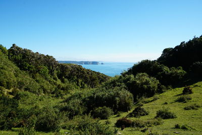 Scenic view of sea against clear blue sky