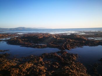 Scenic view of sea against clear sky
