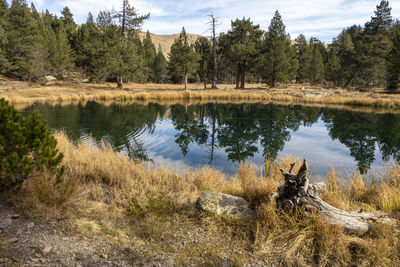 View of a lake