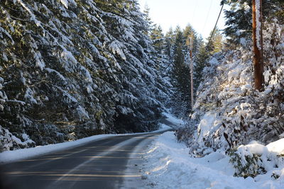 Road amidst trees