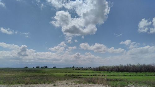 Scenic view of field against sky