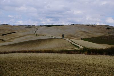 Scenic view of agricultural field against sky