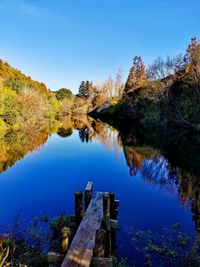 Reflection of trees in lake against blue sky