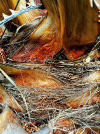 Close-up of fishing net