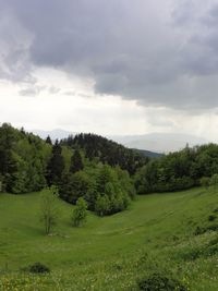 Scenic view of landscape against cloudy sky