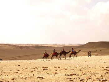 People riding horses in desert against sky