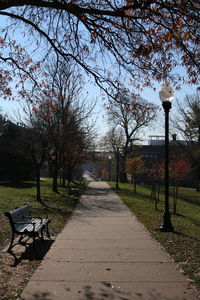 Street amidst trees against sky