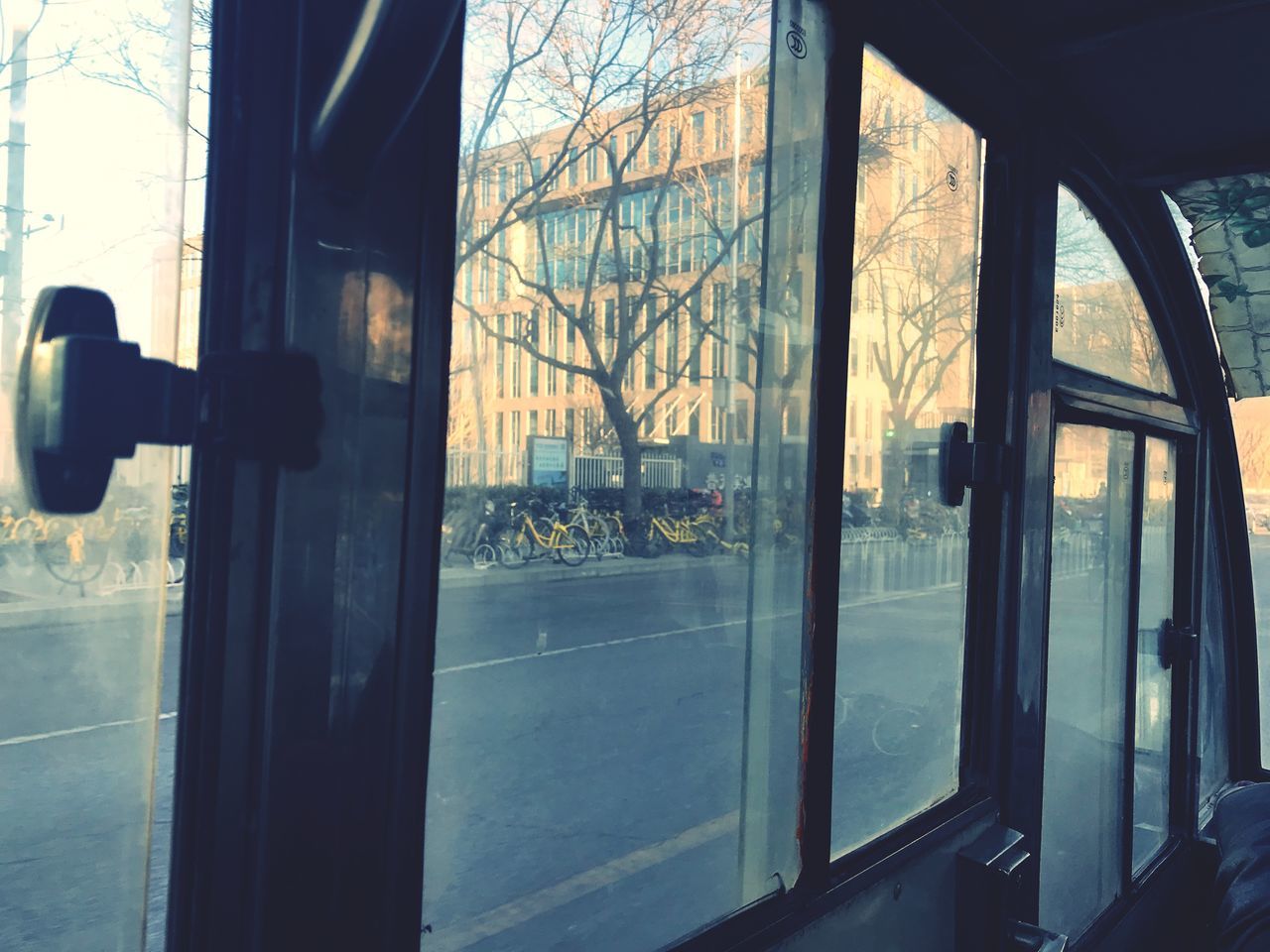 window, transparent, glass - material, built structure, architecture, day, no people, building exterior, looking through window, indoors, close-up, tree, nature, city, sky