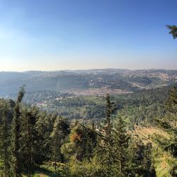 High angle view of trees on landscape against sky