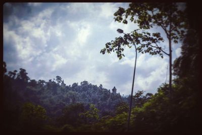 Low angle view of trees against cloudy sky