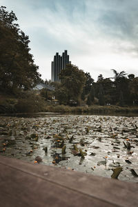 Surface level of lake against buildings in city