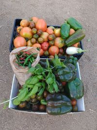 High angle view of vegetables in container
