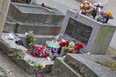 View of flowering plants at cemetery