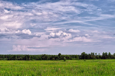 Scenic view of field against sky