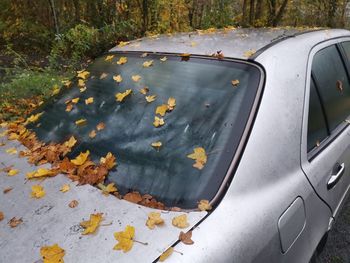 High angle view of autumn leaves on car