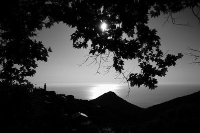 Silhouette tree by mountain against sky during sunset