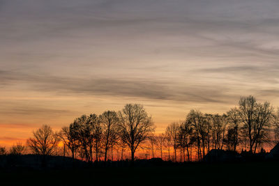 Silhouette bare trees against sky during sunset