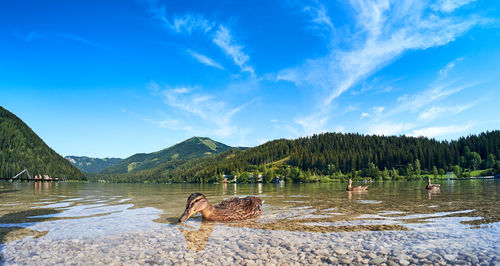 Scenic view of lake against blue sky