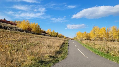 Road amidst trees against sky during autumn