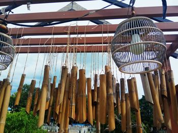 Low angle view of bamboo hanging from roof