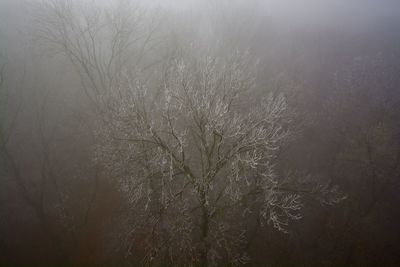 Aerial view of snow covered land