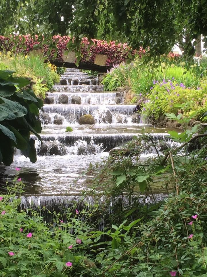 VIEW OF PLANTS IN GARDEN