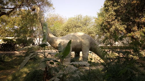 Elephant by trees against clear sky