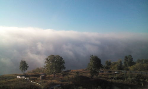 Panoramic view of trees against sky