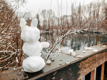 Close-up of frozen bare trees on field during winter with snowman in front