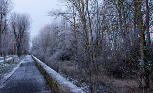 Snow covered footpath amidst bare trees during winter