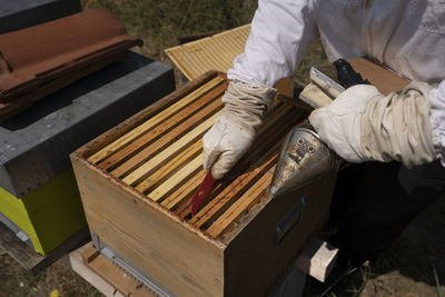 Rural and natural beekeeper, working to collect honey from hives