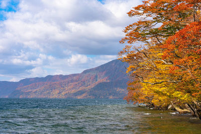 Scenic view of tree by mountain against sky during autumn