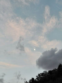 Low angle view of trees against sky