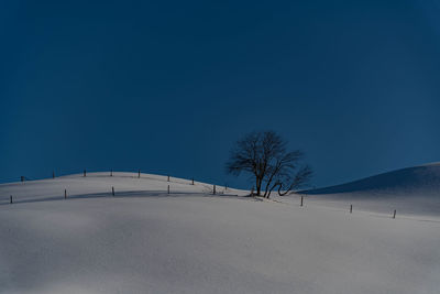 Scenic view of snow covered field against clear blue sky