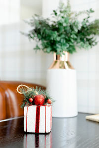 Potted plant in jar on table