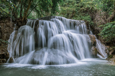 Scenic view of waterfall in forest