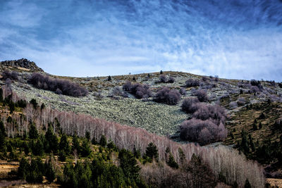 Panoramic view of landscape against sky