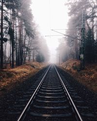 Railroad track in forest