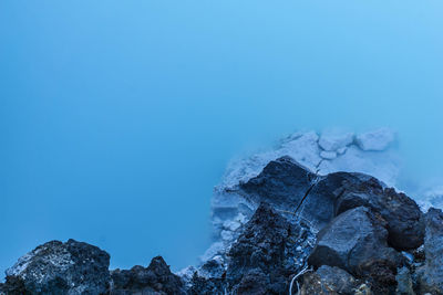 Low angle view of tree against clear blue sky
