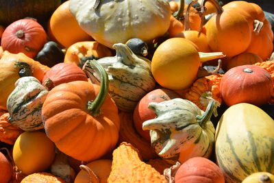 Heap of squashes for sale at market